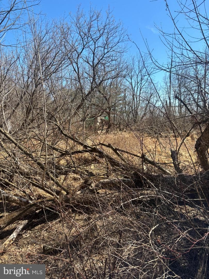 851 Minsi Trail photo 6