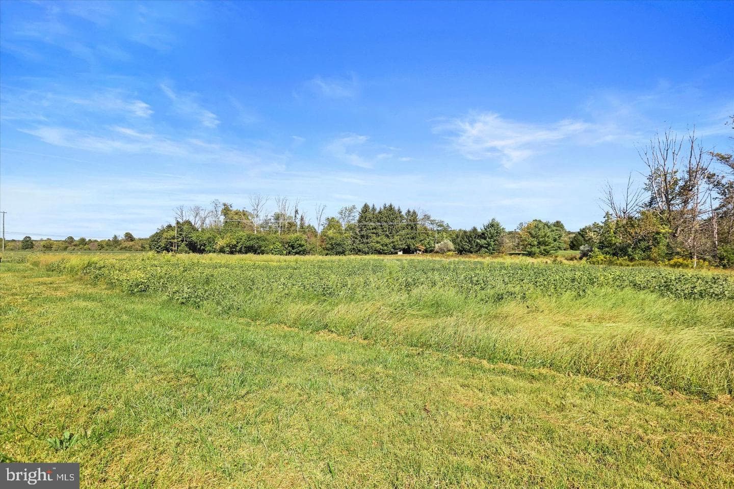 291 Elephant Road photo 10