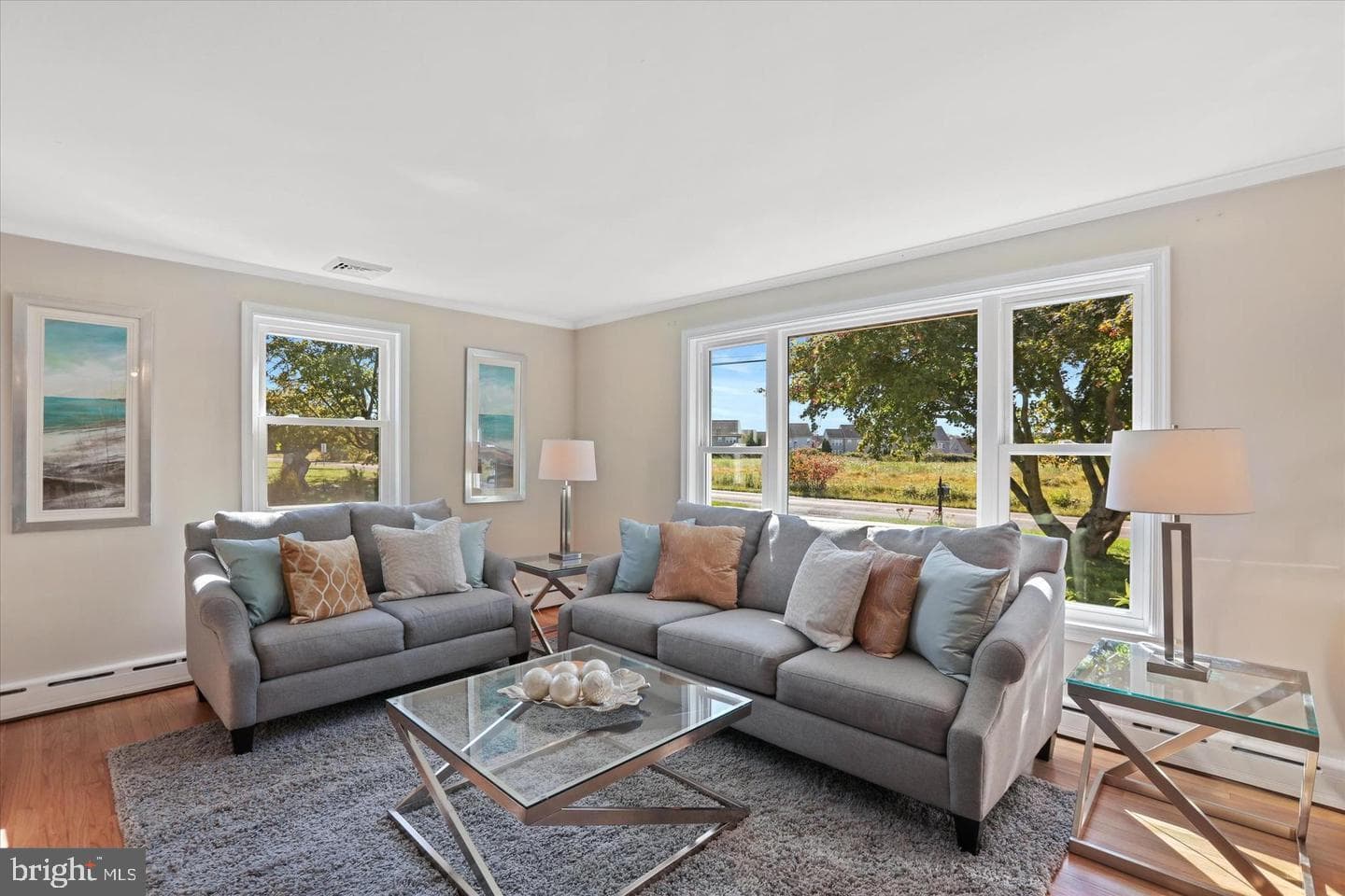 291 Elephant Road photo 12
