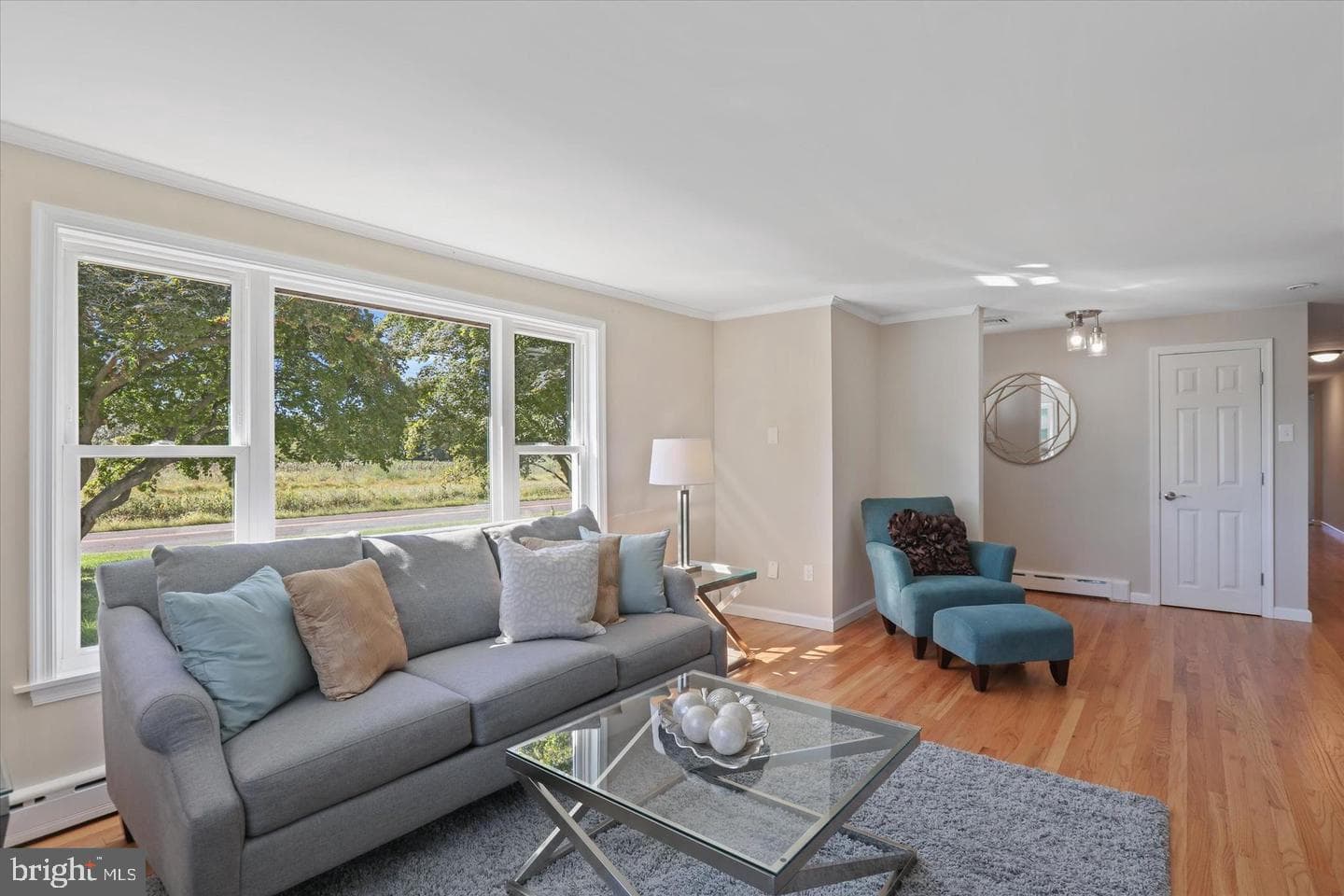 291 Elephant Road photo 14