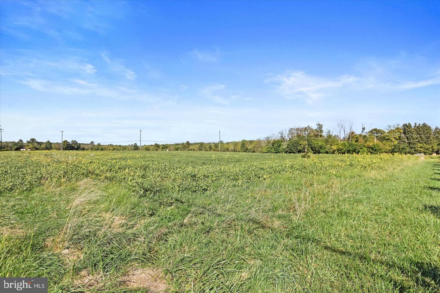 291 Elephant Road photo 9