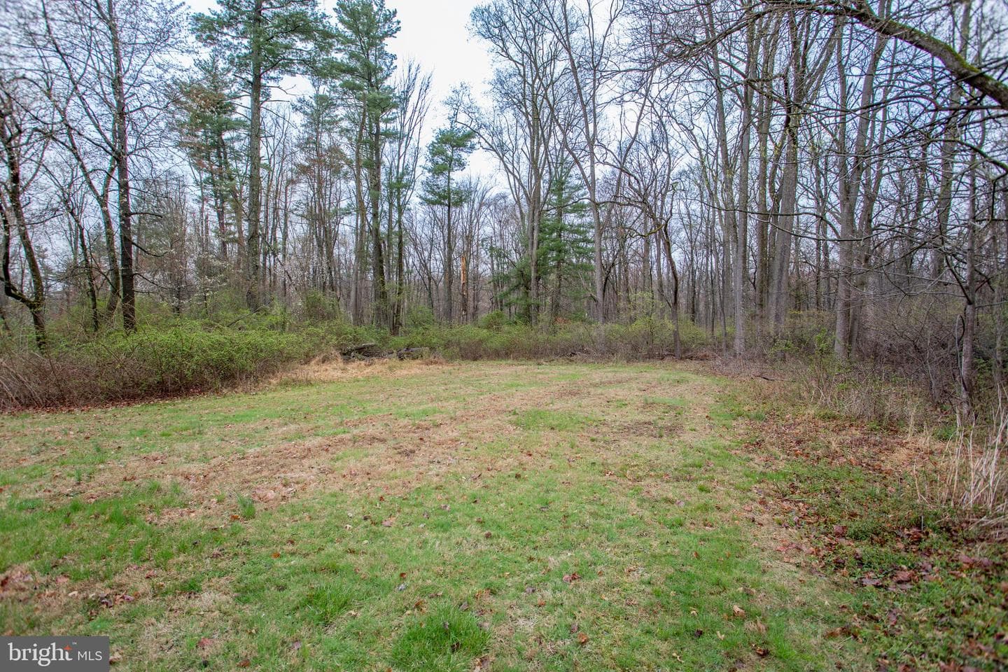 36 Layle Lane photo 41