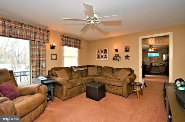 1903 Woodfield Drive photo 45