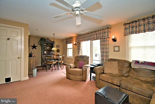 1903 Woodfield Drive photo 47