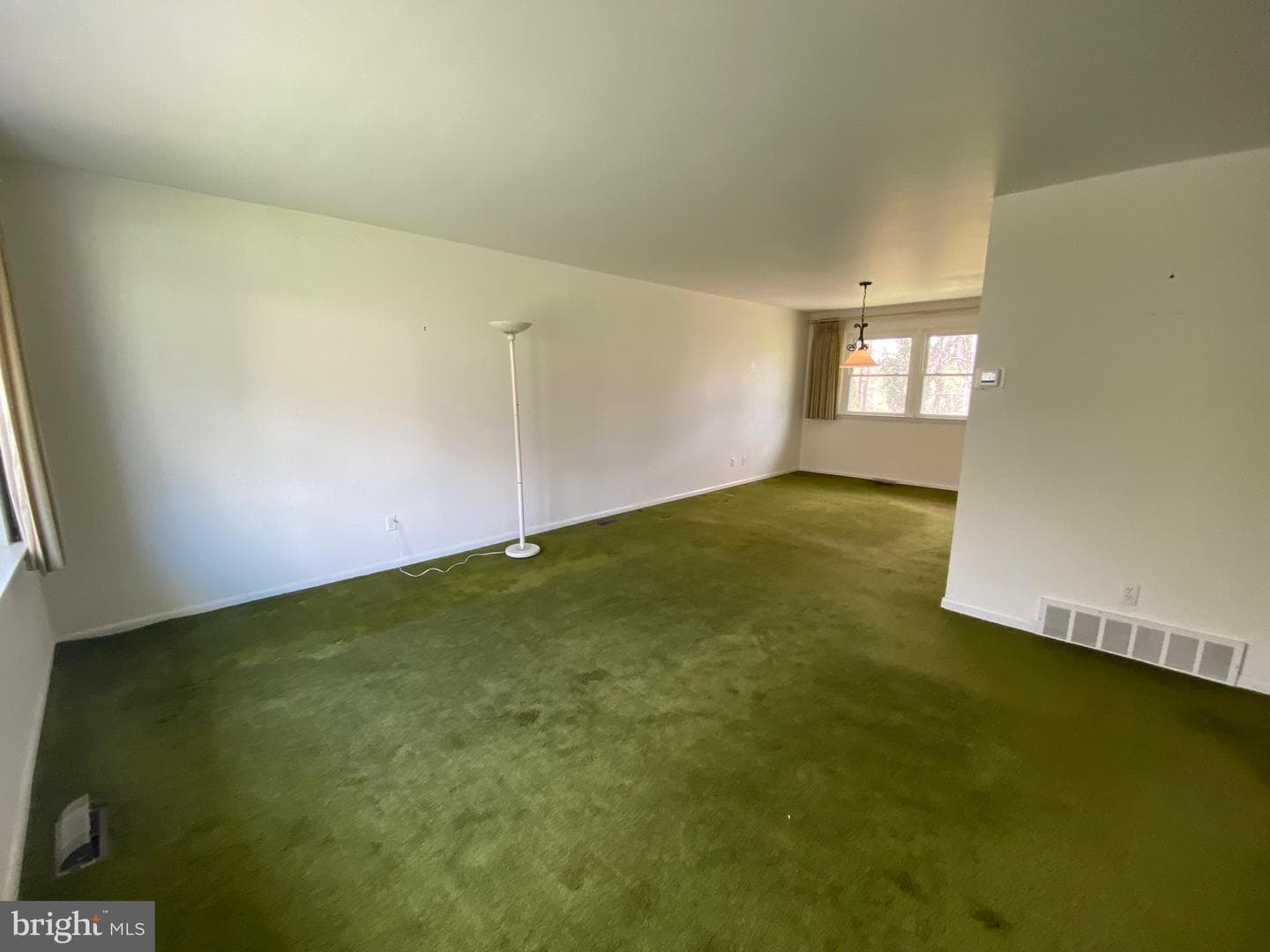 123 Cornwall Drive photo 4
