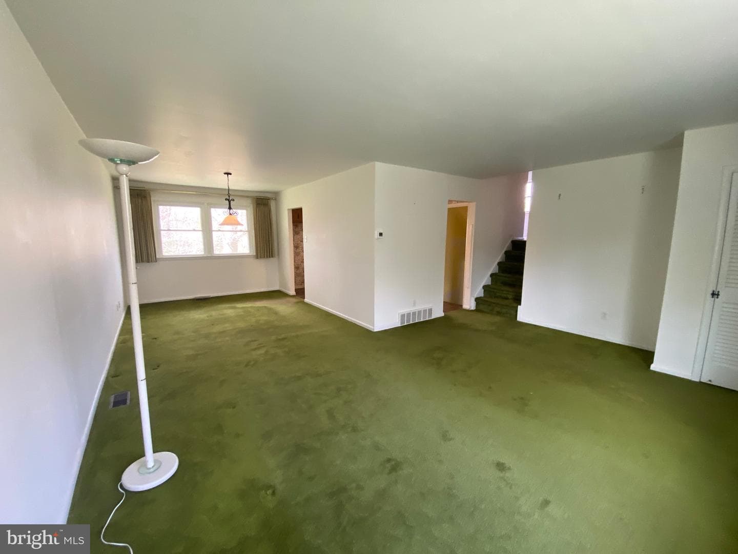 123 Cornwall Drive photo 5