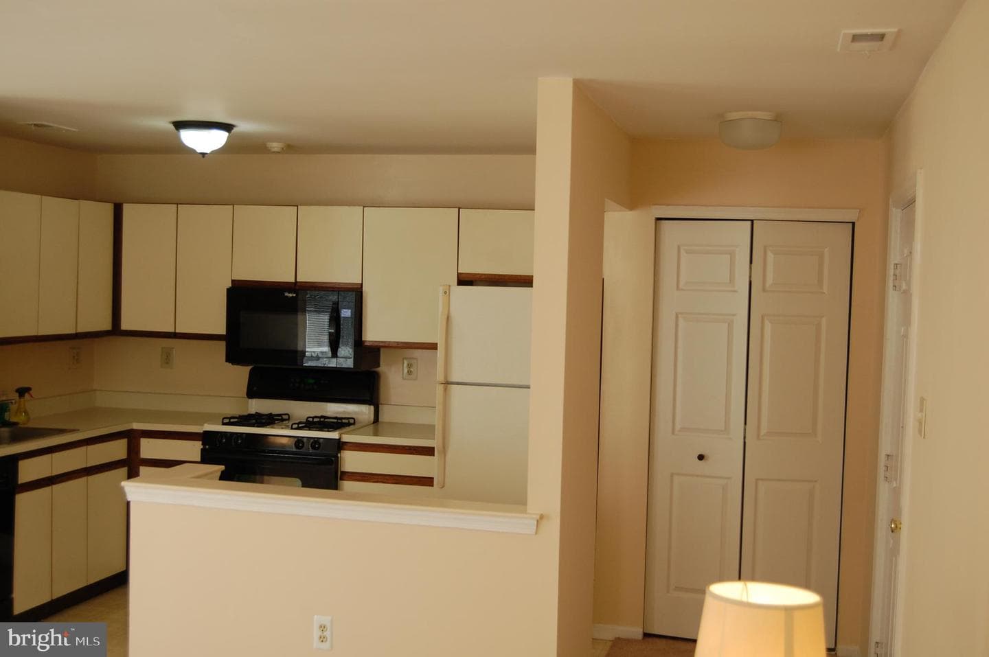 1009 Diamond Drive photo 3