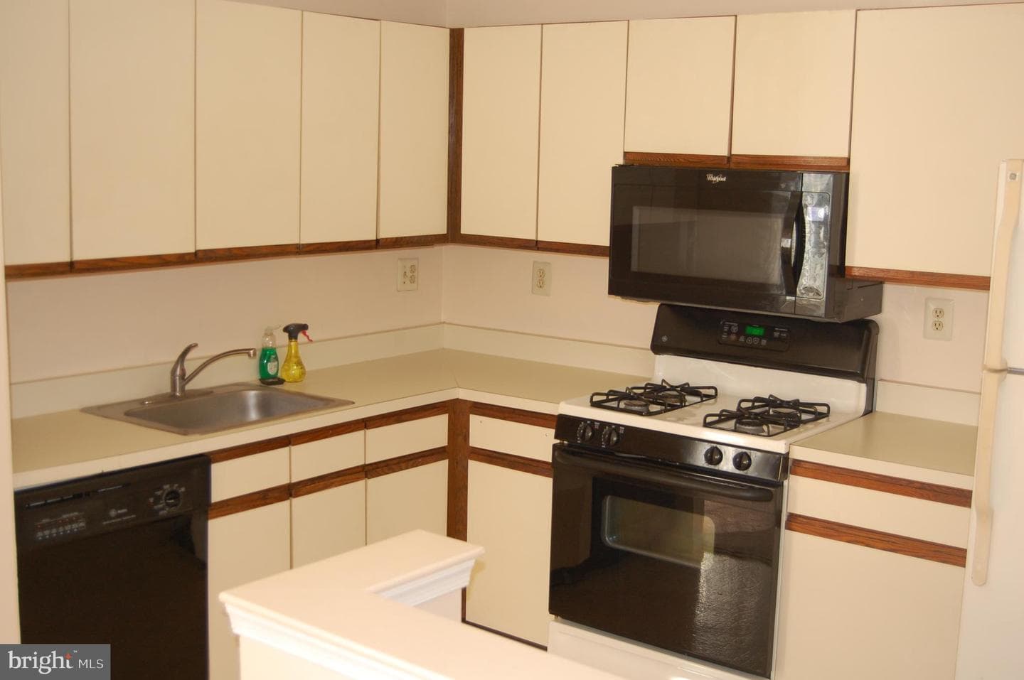 1009 Diamond Drive photo 4