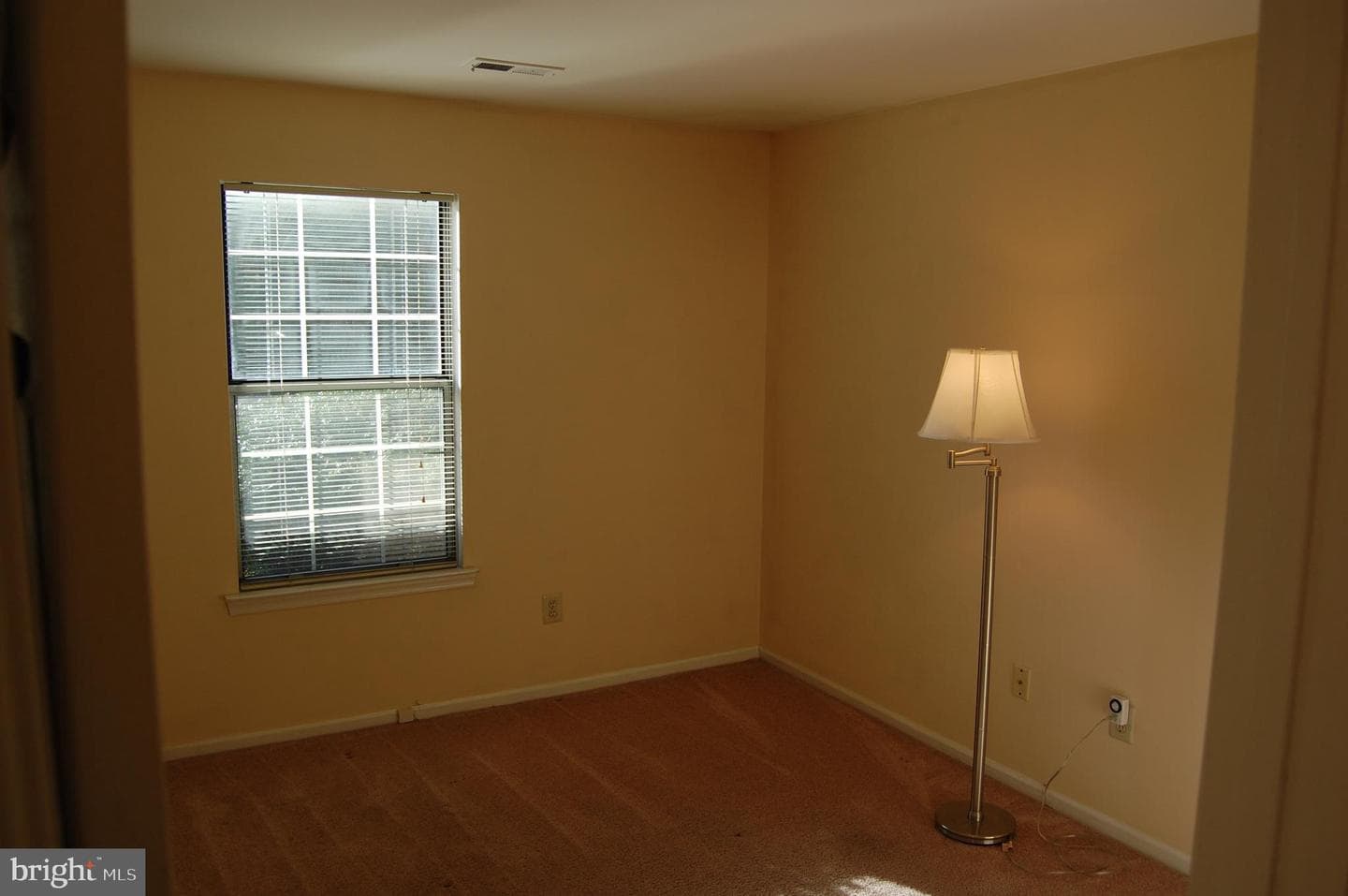 1009 Diamond Drive photo 6