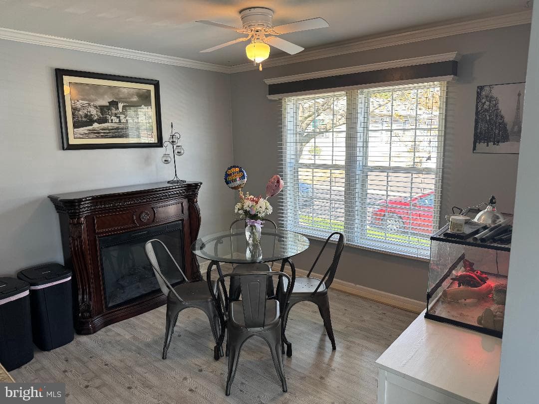 1139 Willow Drive photo 4