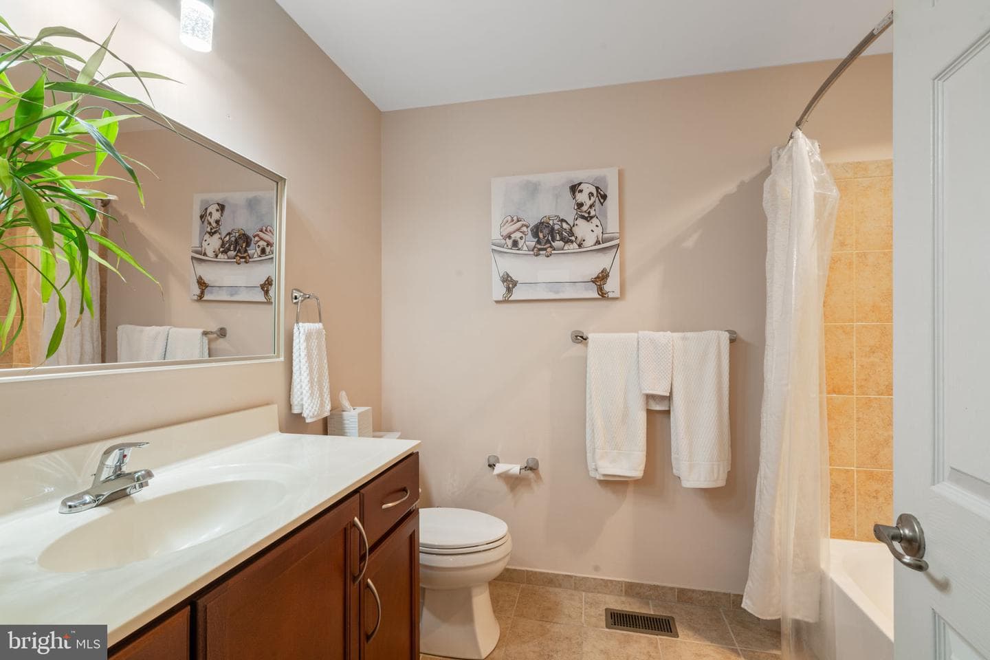 64 Bowman Drive photo 29