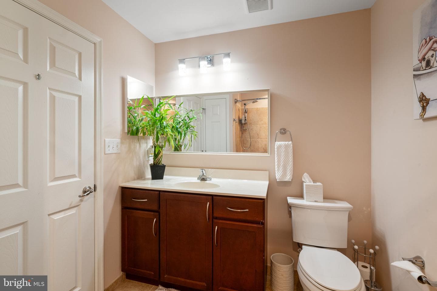 64 Bowman Drive photo 30