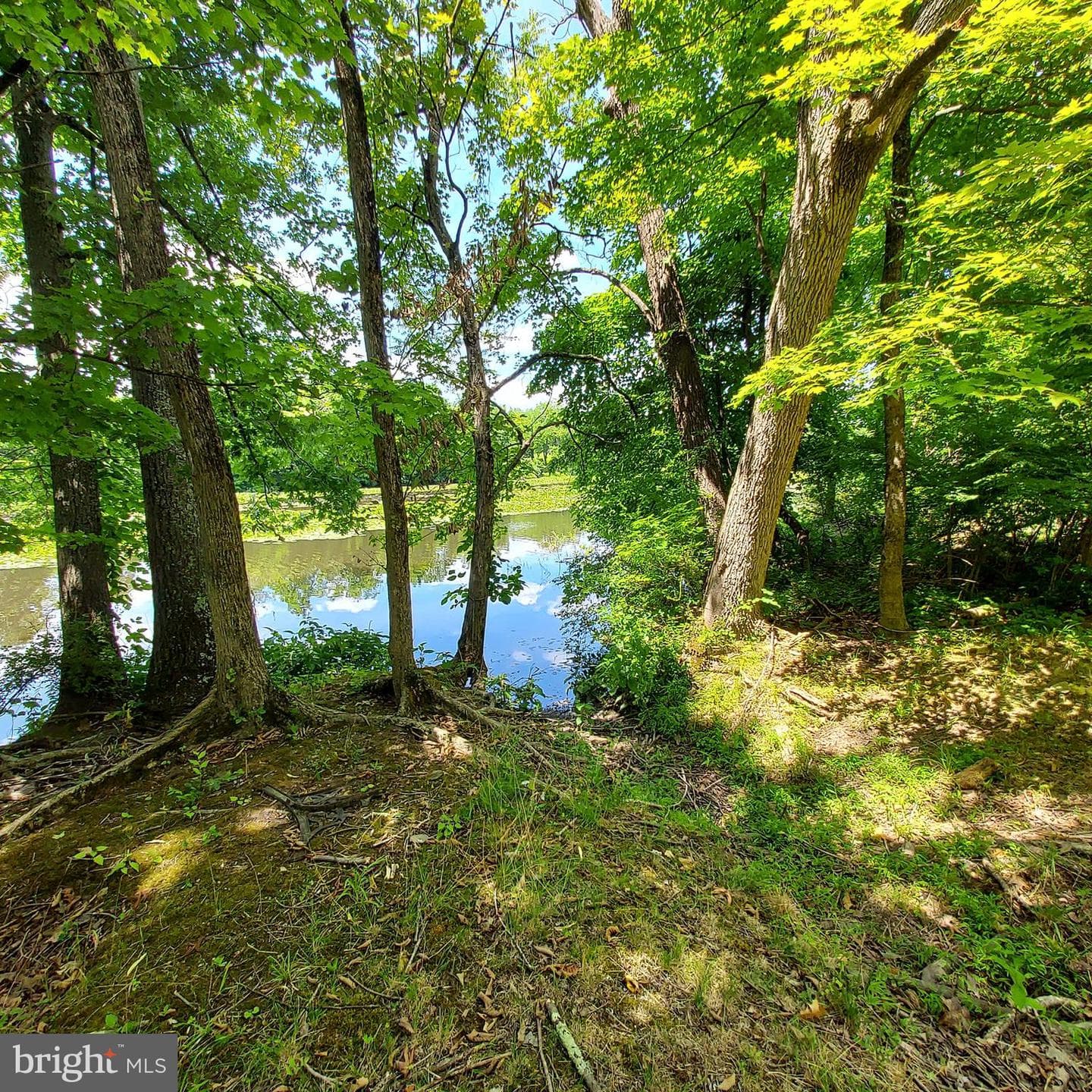2378 Three Mile Run Road photo 50
