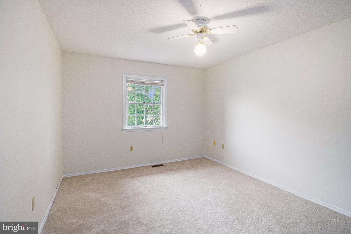 1246 Center Street photo 20
