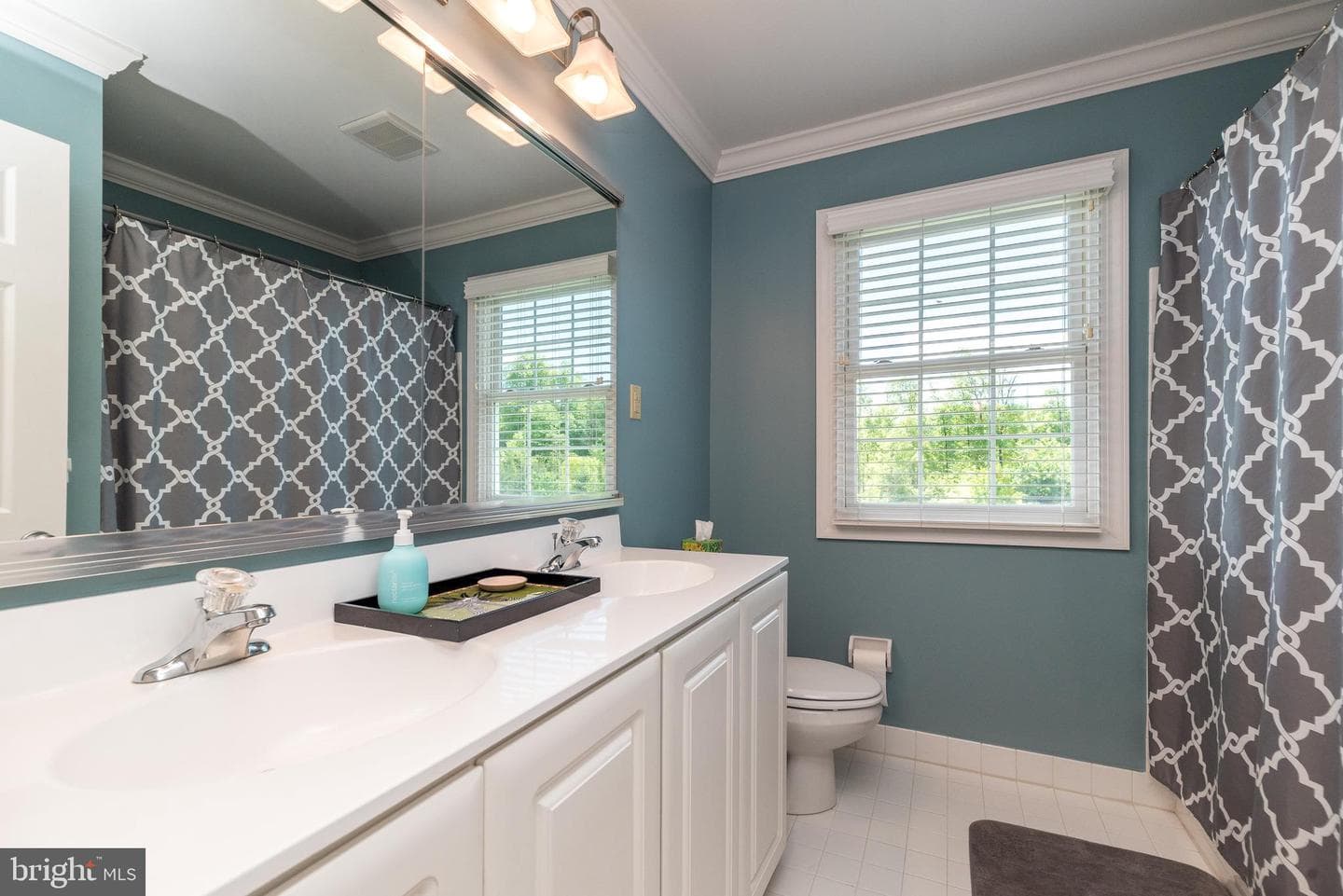 4217 Horseshoe Way photo 22
