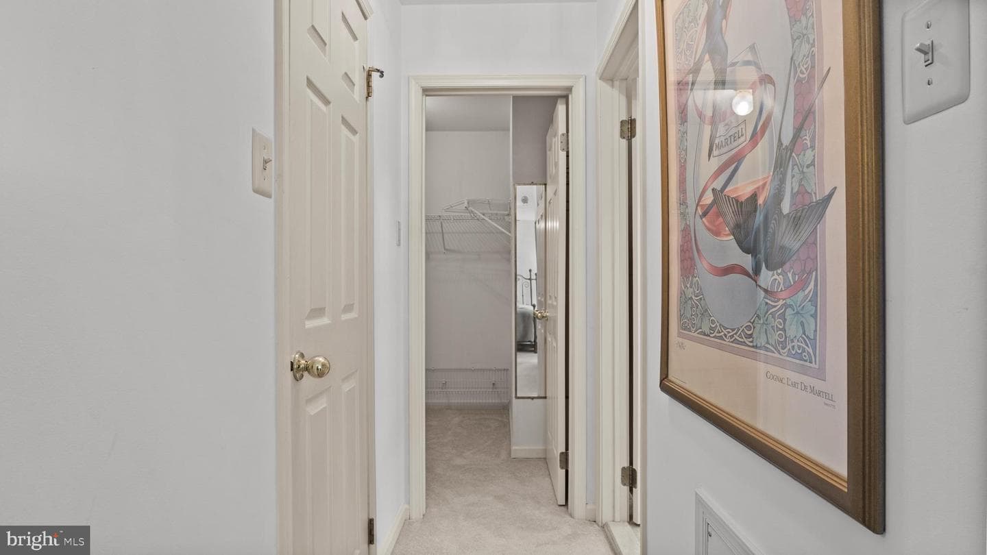 54 Nathan Court photo 20