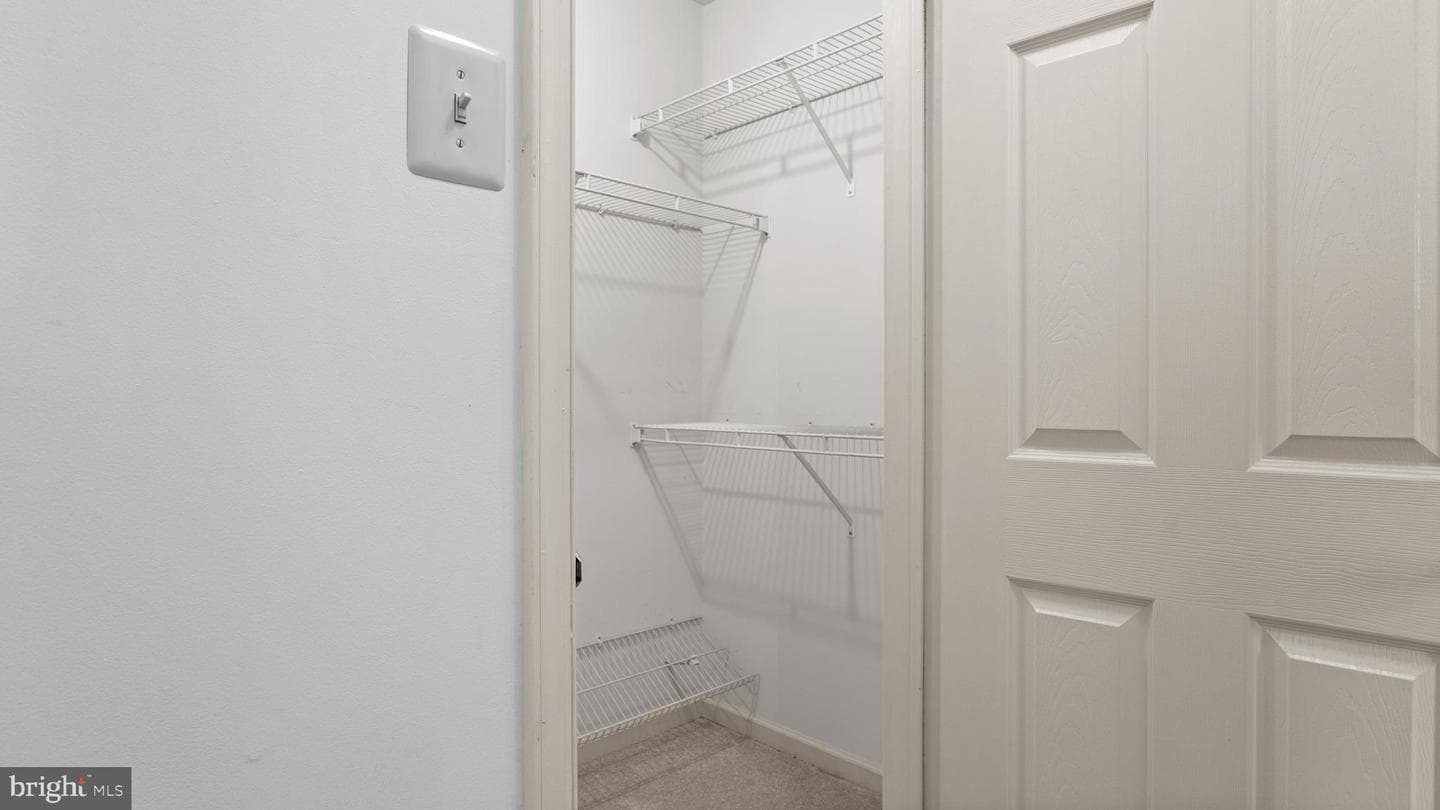 54 Nathan Court photo 22