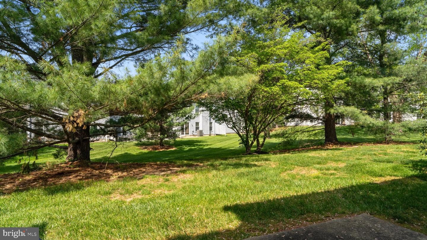 54 Nathan Court photo 30