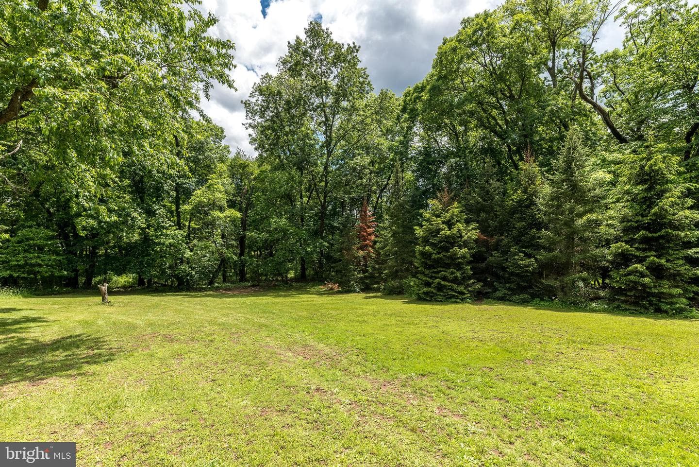 4537 Kavan Court photo 41