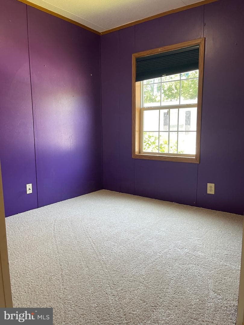 3549 Iris Avenue photo 15