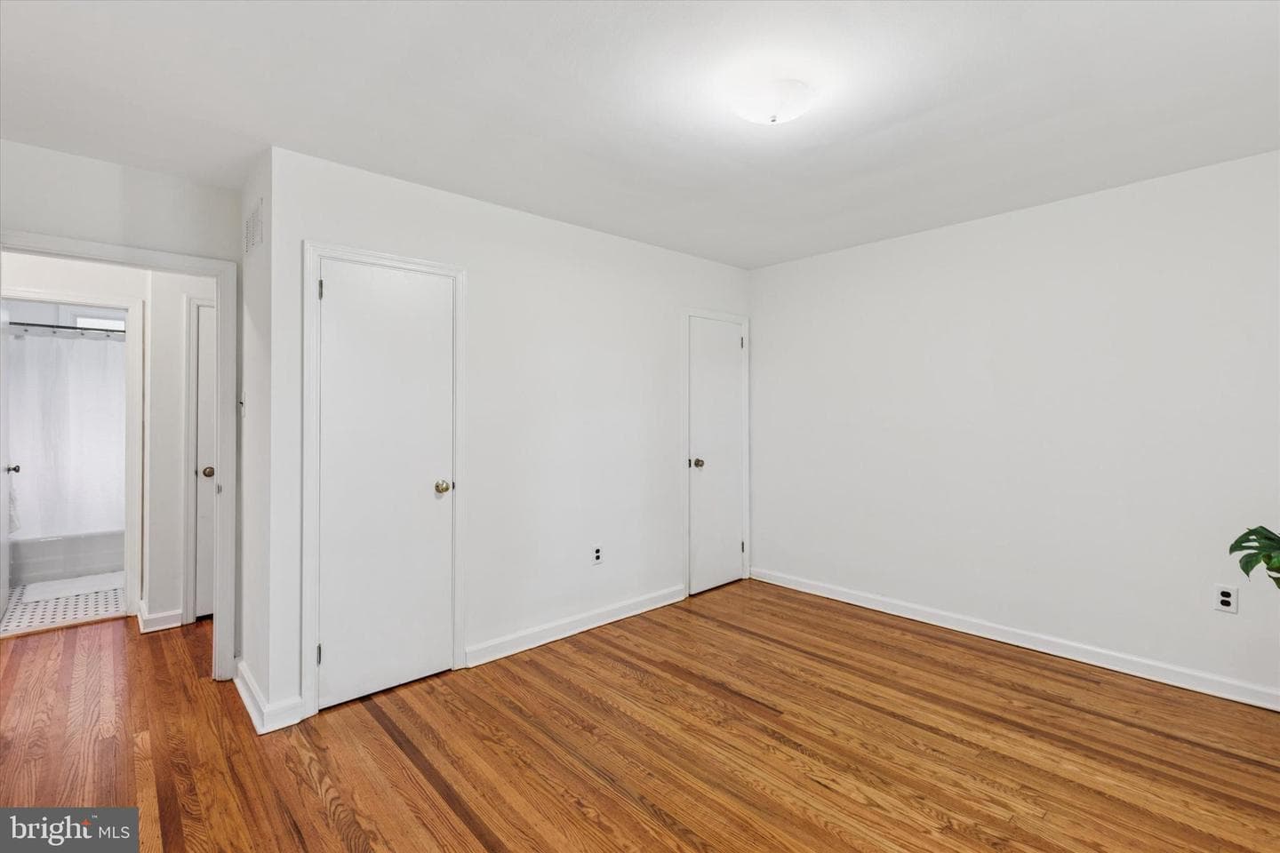 129 Kreutz Avenue photo 9
