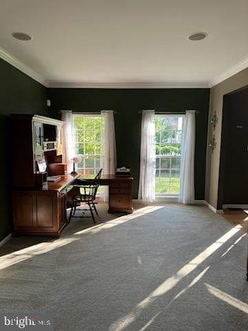 229 Barnhill Road photo 10