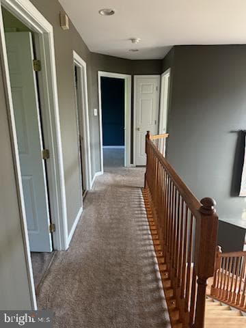 229 Barnhill Road photo 27