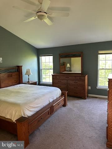 229 Barnhill Road photo 29
