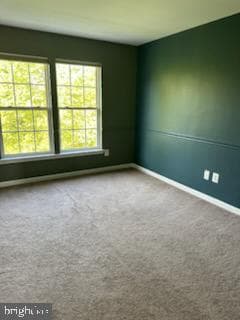 229 Barnhill Road photo 35