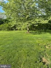 229 Barnhill Road photo 63