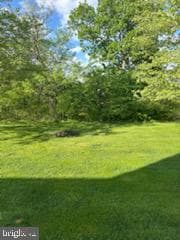 229 Barnhill Road photo 64