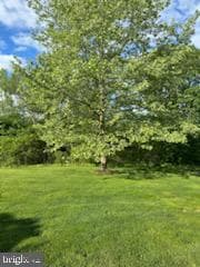 229 Barnhill Road photo 66