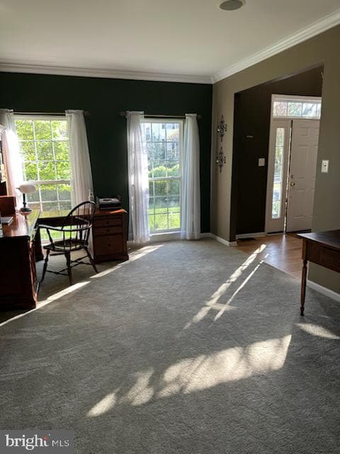 229 Barnhill Road photo 8