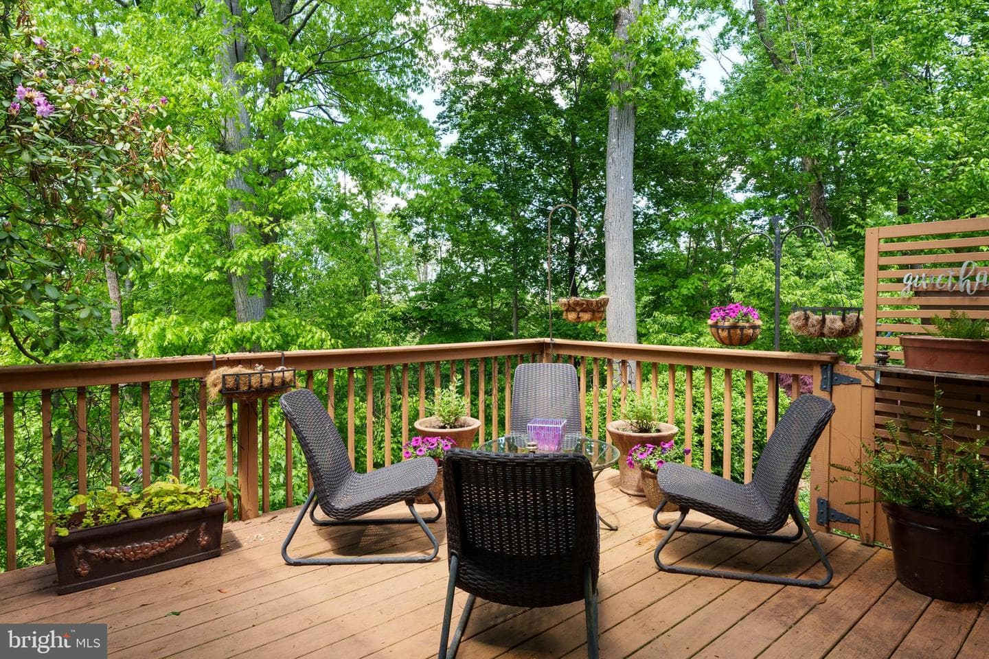 4 Arden Way photo 12