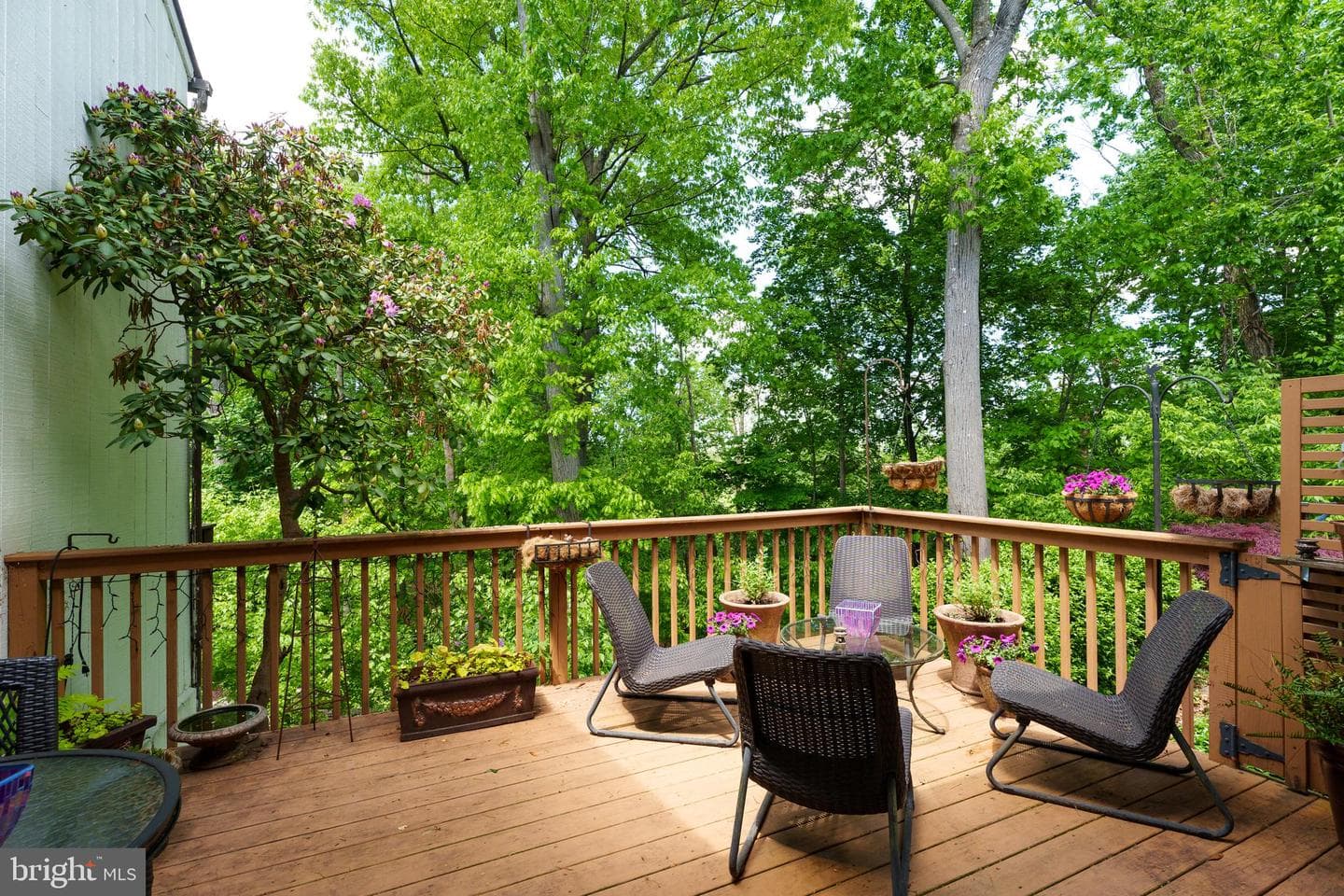 4 Arden Way photo 21