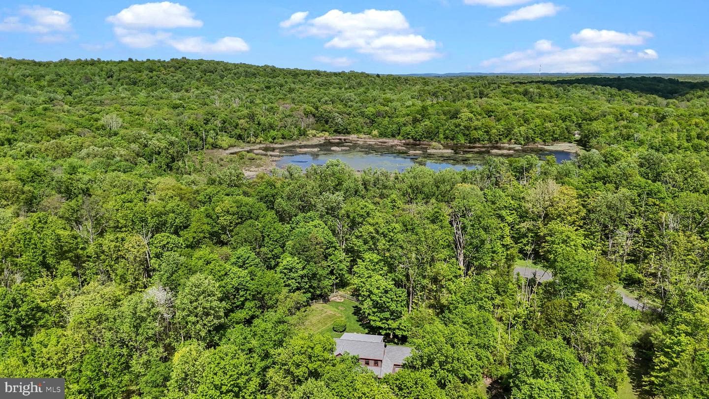 151 Kintner Hill Road photo 42