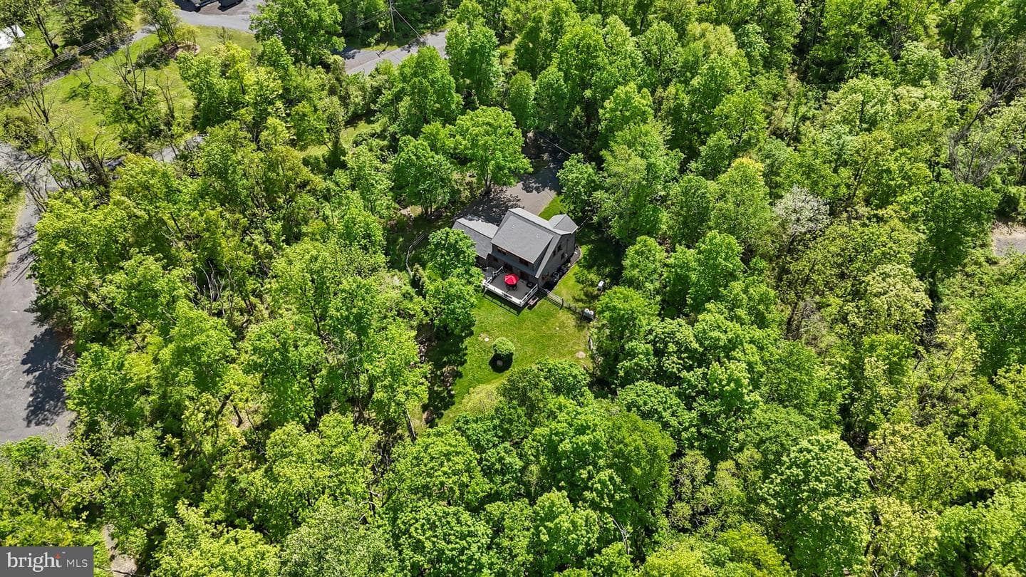 151 Kintner Hill Road photo 48