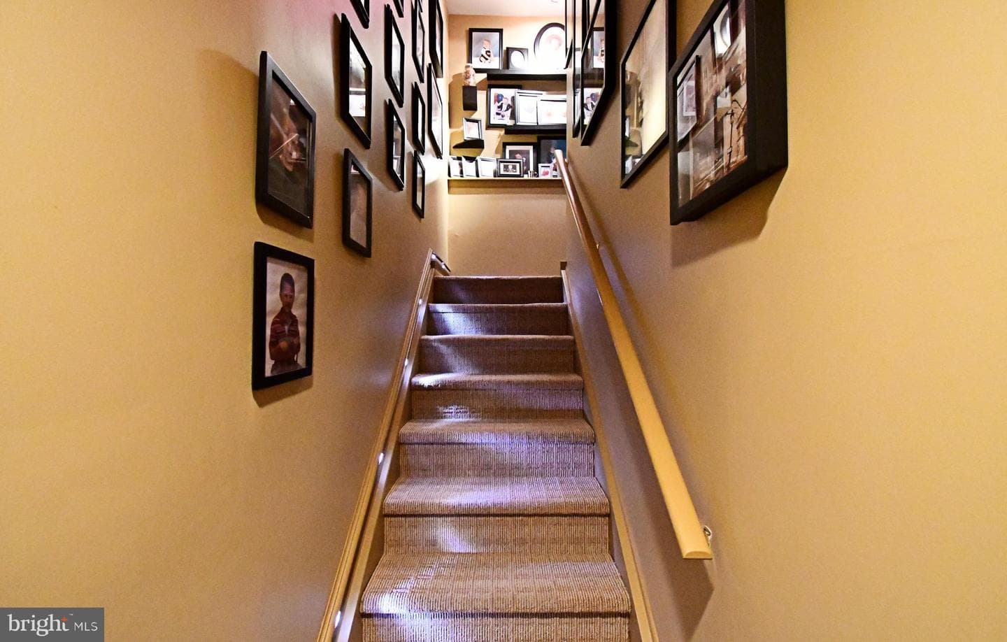 20 Susanna Way photo 67
