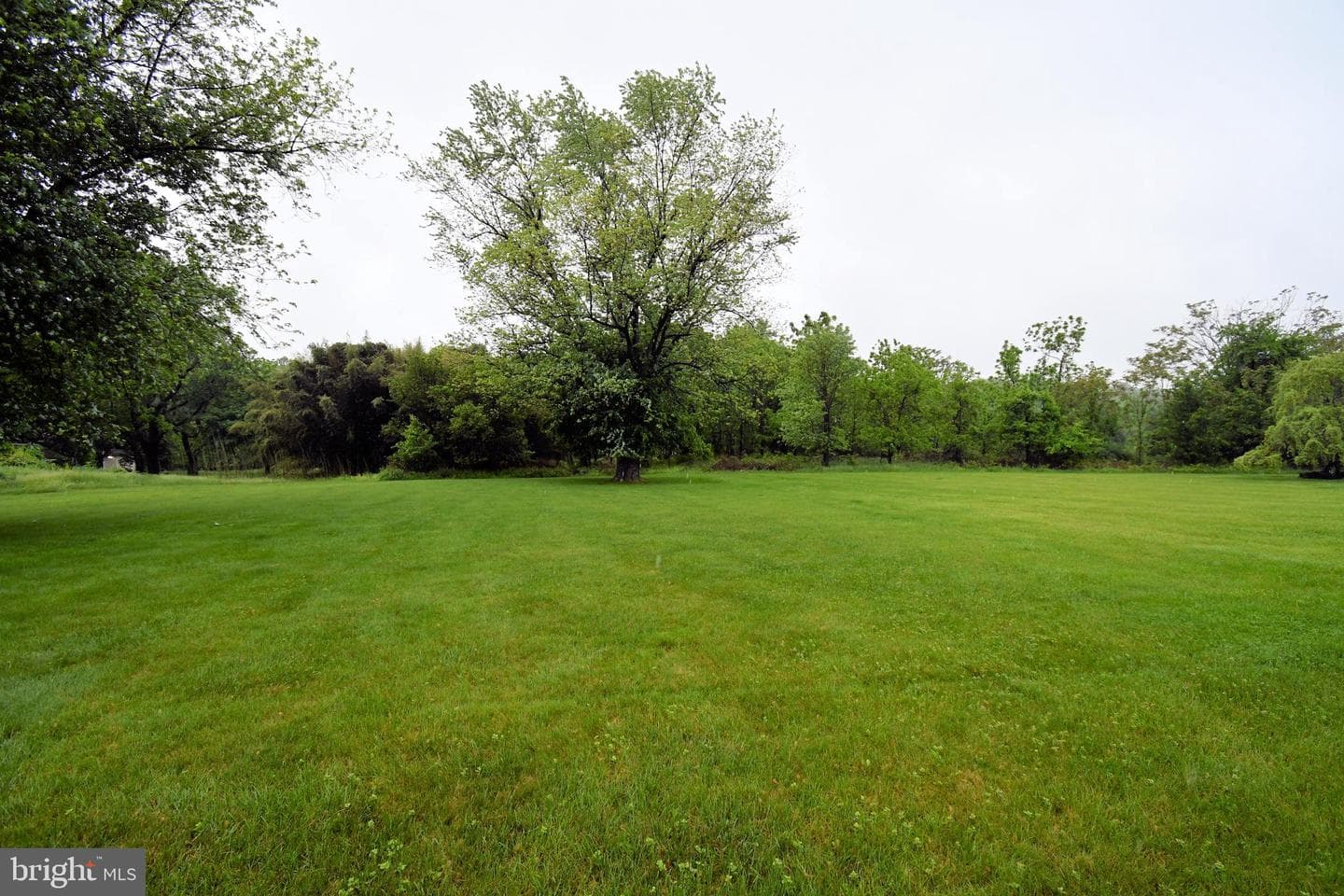 20 Susanna Way photo 88