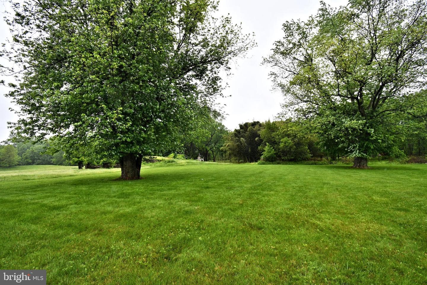 20 Susanna Way photo 89