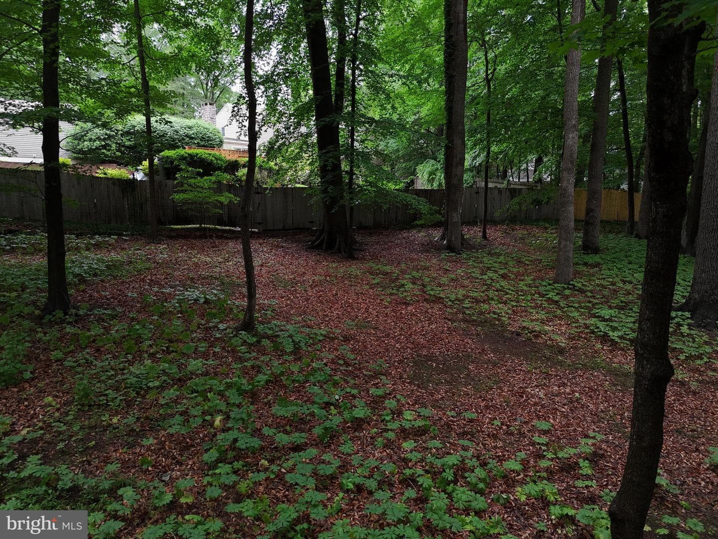 78 Tower Hill Road photo 12