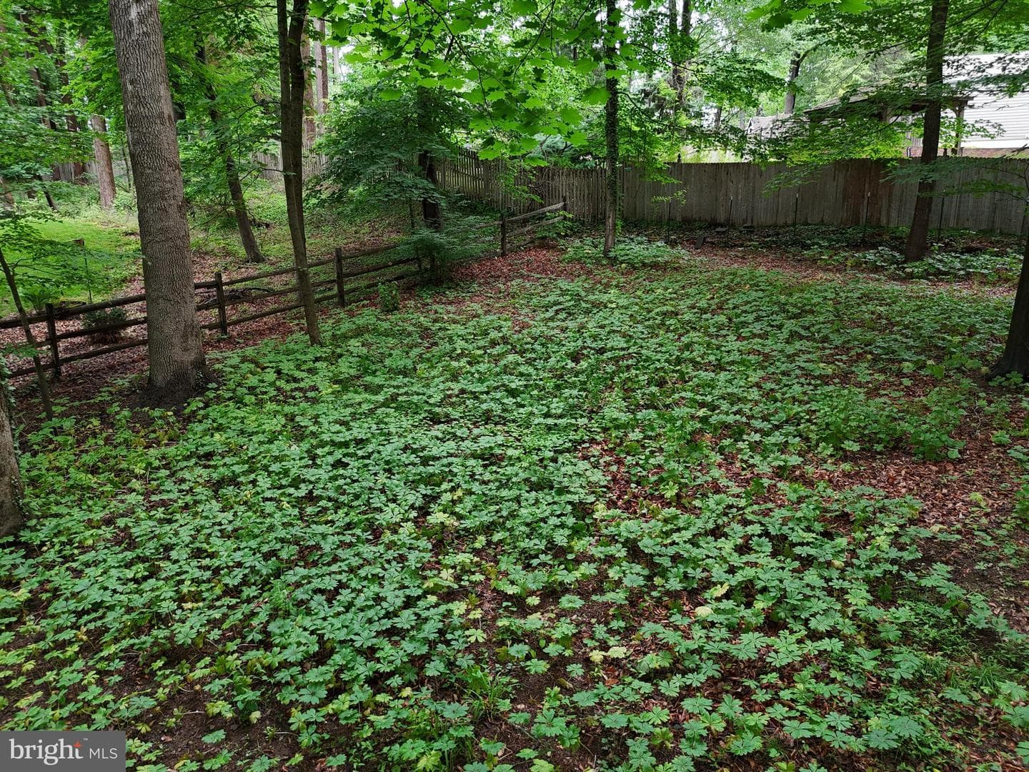 78 Tower Hill Road photo 13