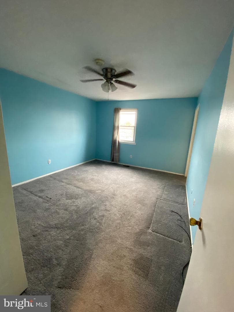 1217 Suzann Drive photo 22