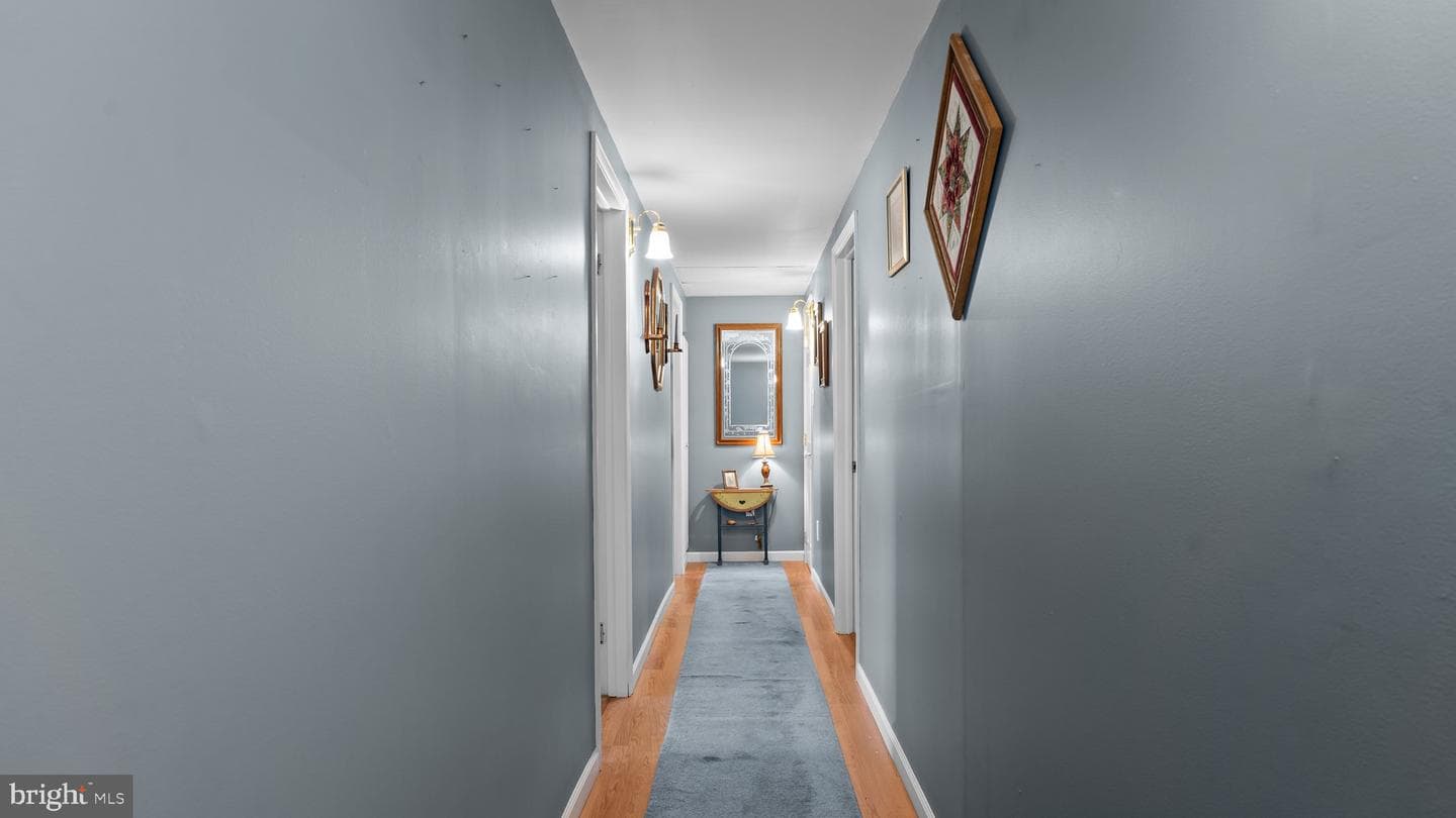 66 Lillian Street photo 22