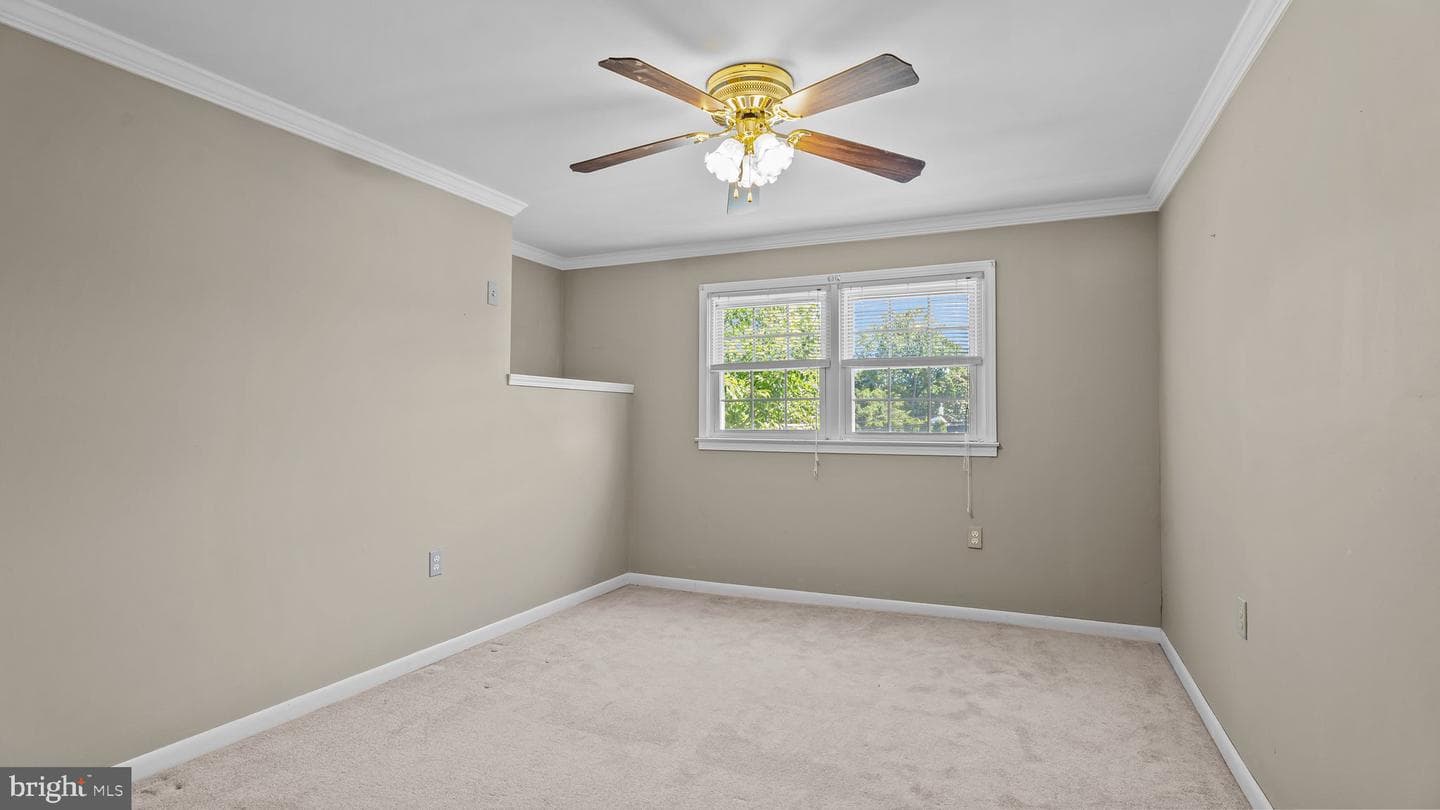 66 Lillian Street photo 24