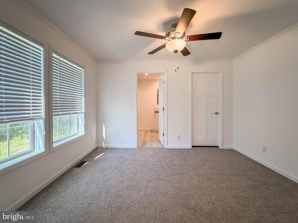 209 Johnson Drive photo 15