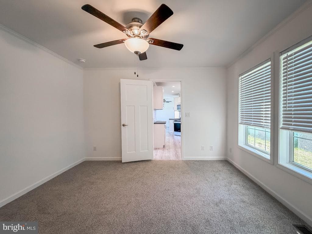 209 Johnson Drive photo 16
