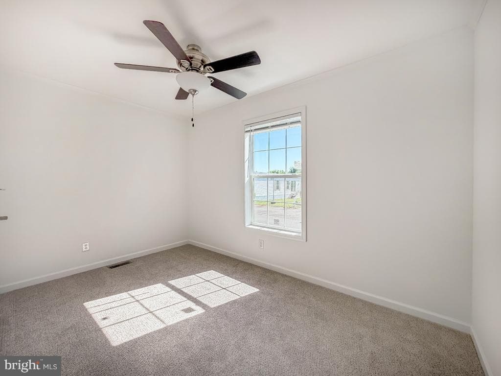 209 Johnson Drive photo 20