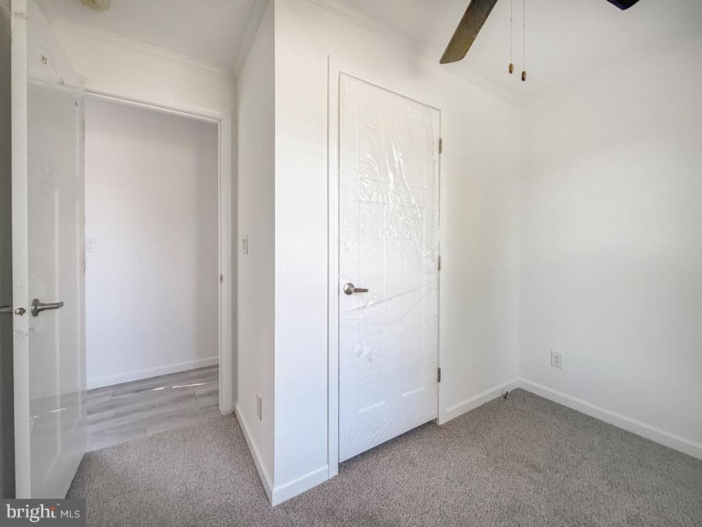 62 Harrison Drive photo 16