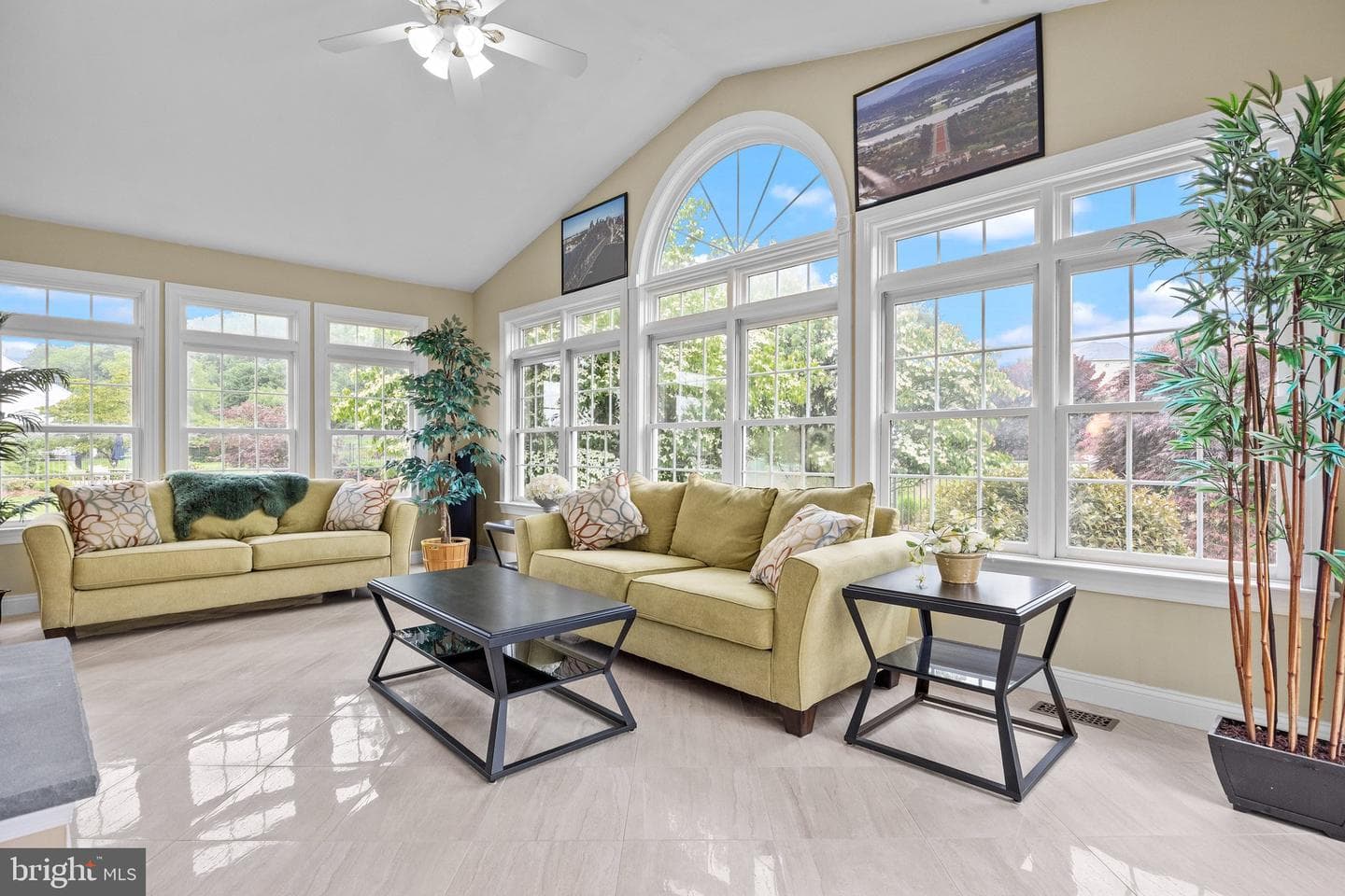 20 Cathleen Drive photo 17